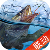 马刺森林狼